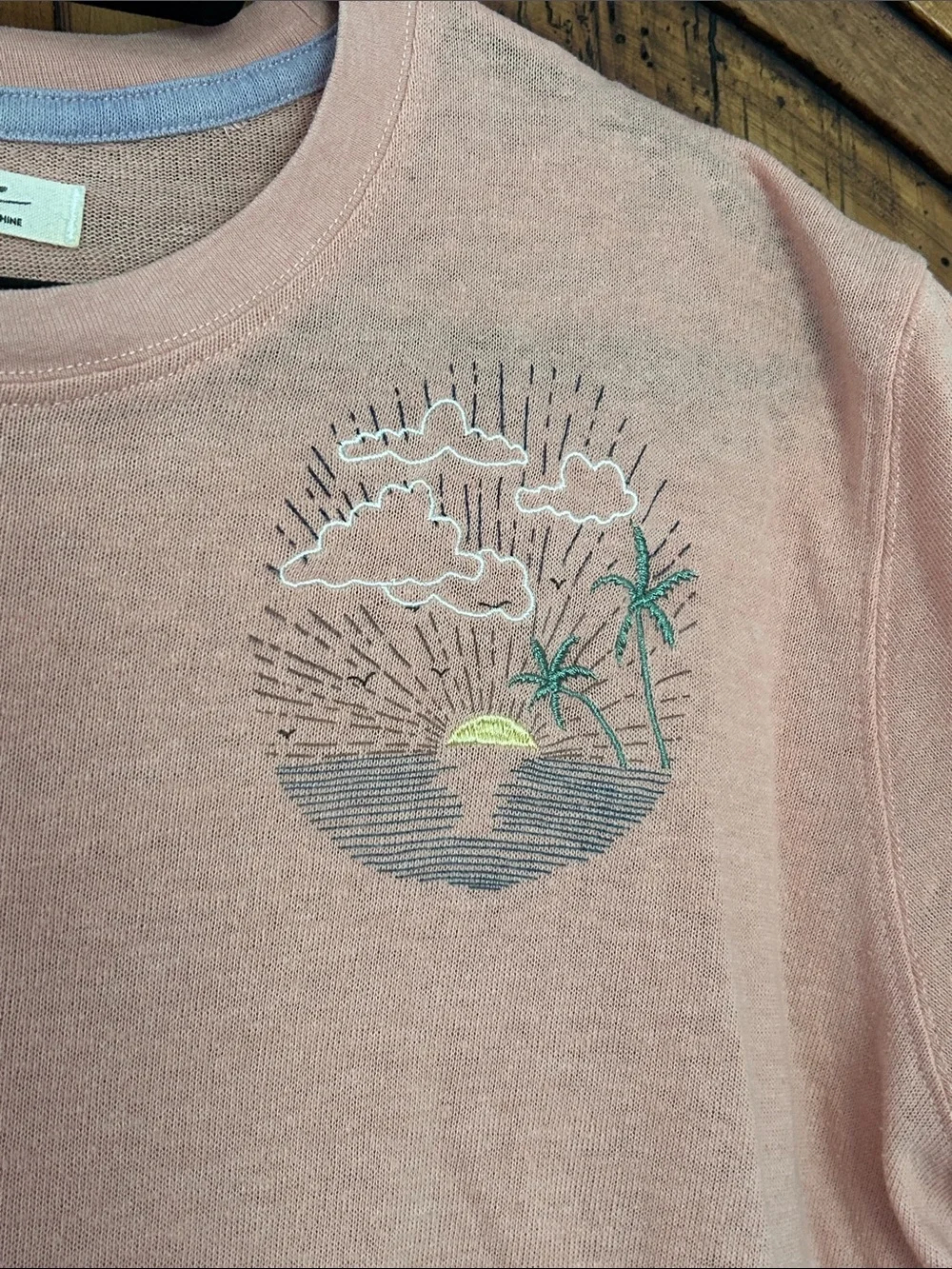 Free People We the Free Embroidered Beach Top Tee Pink